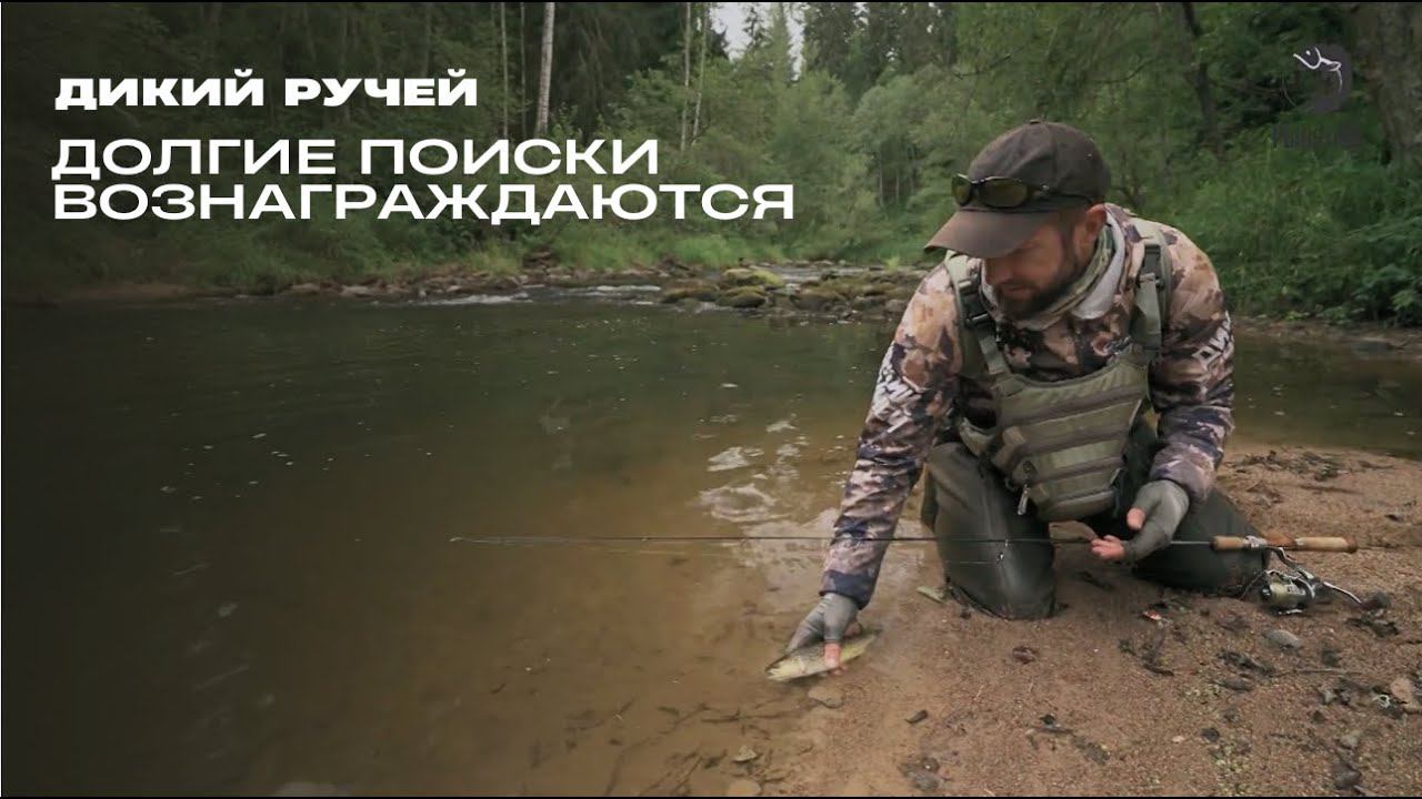 Долгие поиски вознаграждаются // Дикий ручей смотреть онлайн
