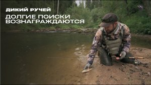 Долгие поиски вознаграждаются // Дикий ручей