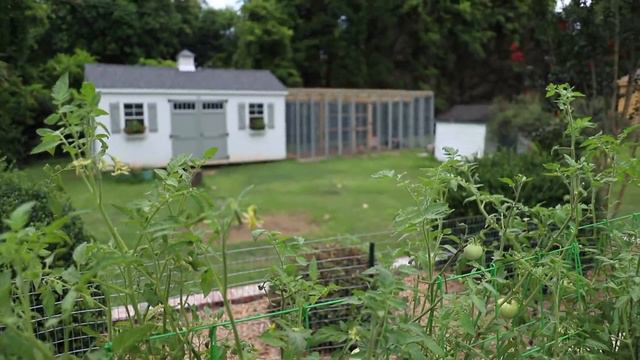 🌿 Garden Tour July 2021🌿 //Beginner Gardner//NEW orchard space + ruined plants from too much water смотреть онлайн