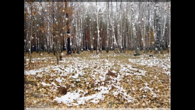 Лариса Ткачёва "Как ни царствуй, а власть вещь короткая" смотреть онлайн