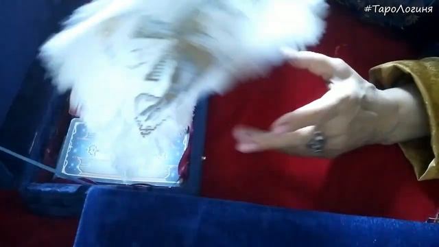 Обзор колод ТАРО и инструментов практикующего таролога ♦ TaroLoginya смотреть онлайн