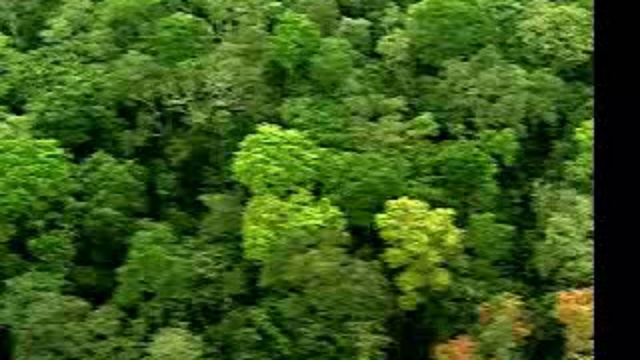 Погружение в лабиринт смотреть онлайн