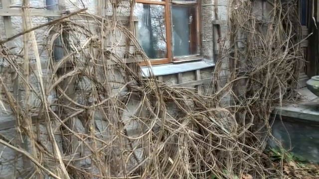 Дачи Смуровой-г. Алупка 100 лет назад. 1 часть. смотреть онлайн