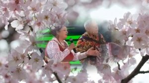 Белая вишня Любовь и Виктор Овчинниковы сл.М.Бизаева муз В Овчинников Авт.вид Н Рудакова