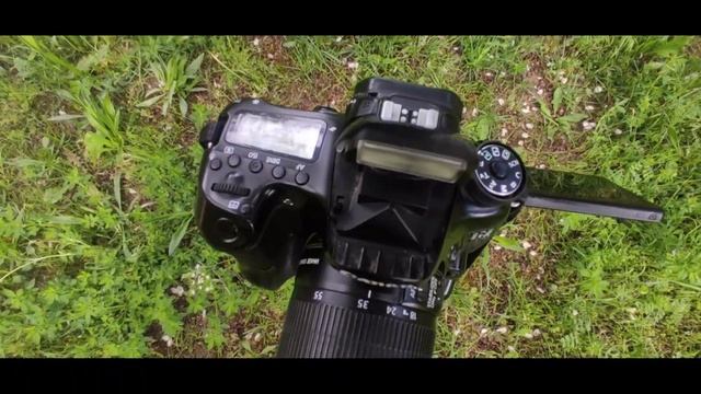 Обзор cenon EOS 70d смотреть онлайн