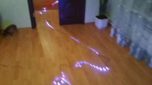 LED ПОДСВЕТКА ЛЕСТНИЦЫ своими руками|СВЕТОДИОДНАЯ ЛЕНТА |RGB