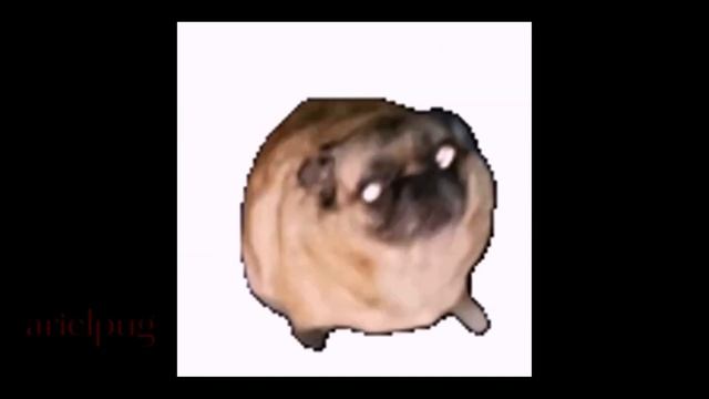 Salami salami gulp gulp (please sub and like) смотреть онлайн