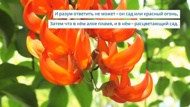 Унсури – Водой в нём становится пламя. Читает Олег Колмычок смотреть онлайн