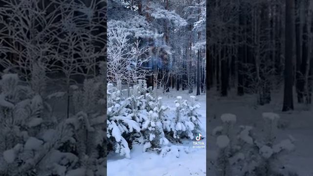 29 ноября 2022 г. смотреть онлайн