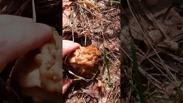 Строчок смотреть онлайн