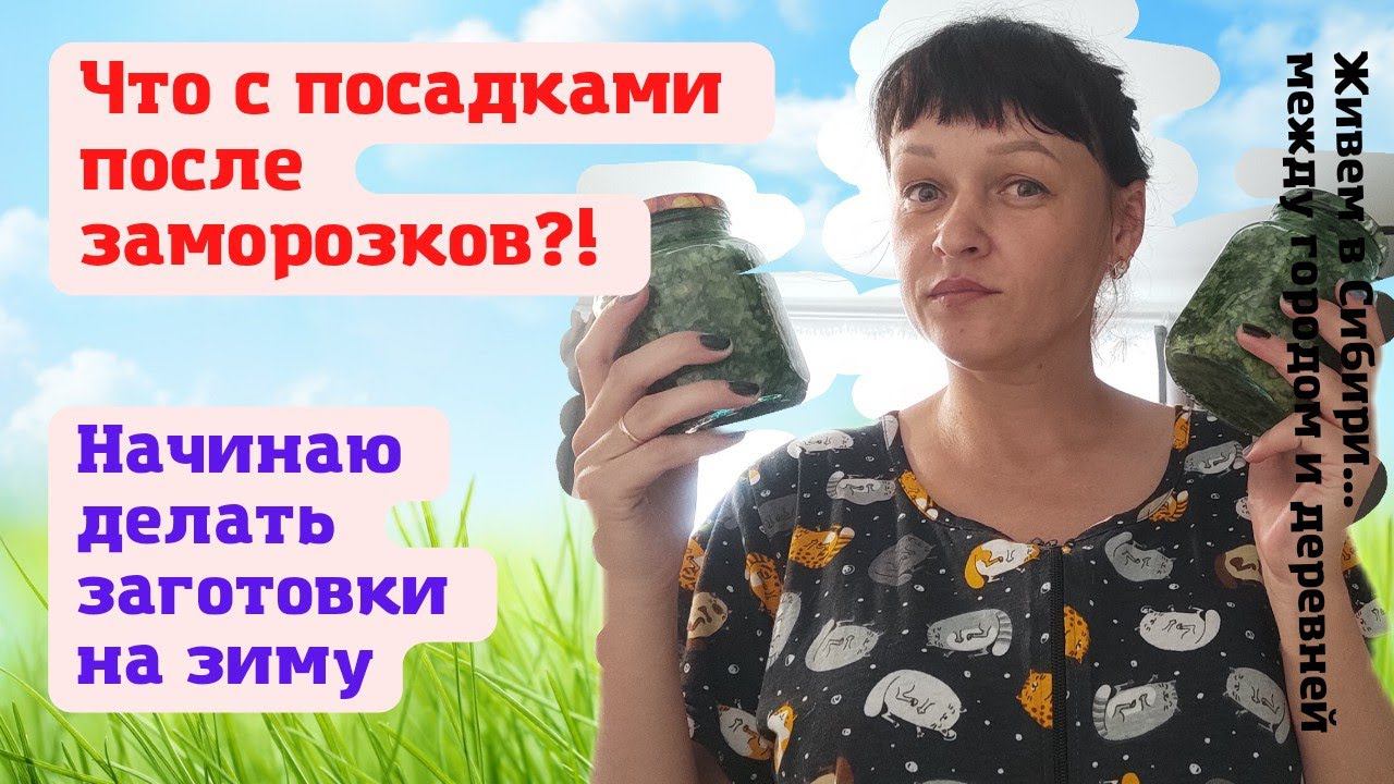 05.06.2022 Вот что стало с огородом после заморозка. Начинаю заготовки на зиму