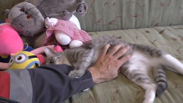 ПРОСТО ДОМАШНИЙ ВЛОГ.Каково жить в Москве? смотреть онлайн