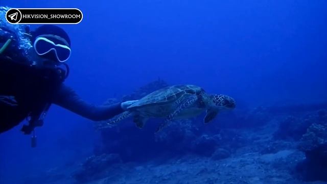 EZVIZ Action Camera CS-S5-212WFBS-g. Экшн камера EZVIZ CS-S5-212WFBS-g смотреть онлайн