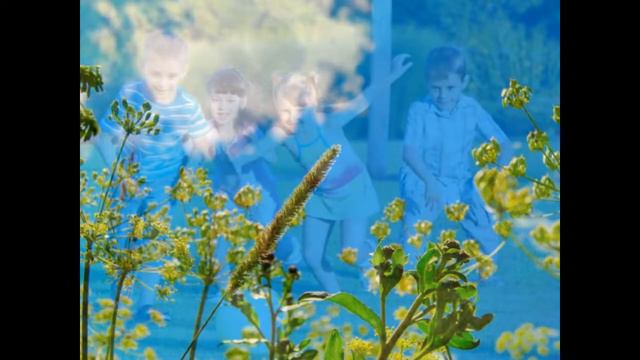 Песенка про дружбу: - "... только дружбу крепкую не разлить водой" смотреть онлайн