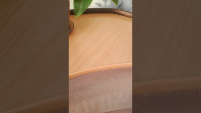 #Гринвей #варежка Инволвер #чистка мебели