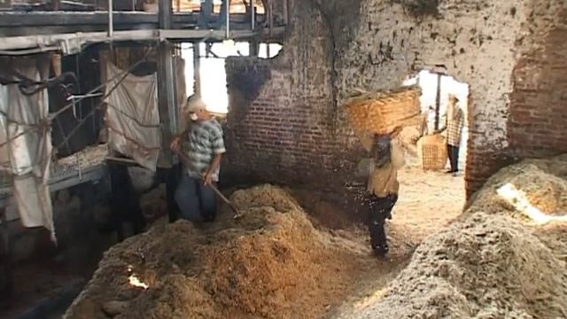 Sumberharjo Sugar Mill, Central Java, Indonesia смотреть онлайн