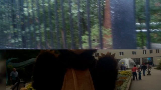 Слайд шоу #1 звери в зоопарке смотреть онлайн