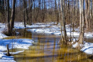 1-А.Вивальди.МАРТ.mp4