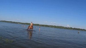 Девушки купают коня