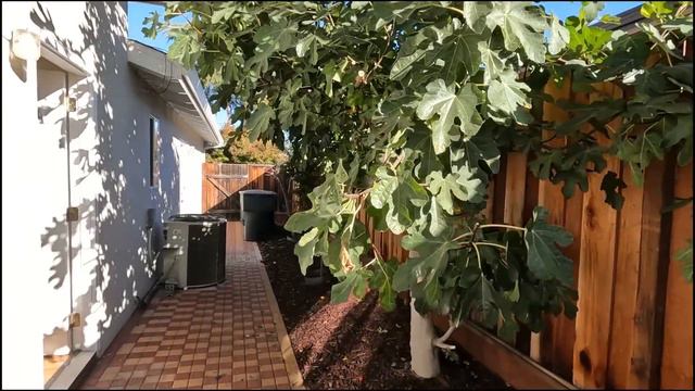 Кремниевая Долина - обзор дома за три миллиона - фига не в кармане. А где? Смотрите и увидете сами. смотреть онлайн