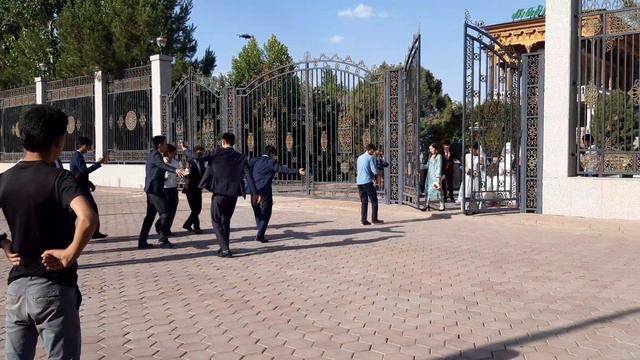 туй дар парк домоду арус смотреть онлайн