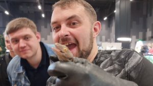 Yoll's добрый stream из Москвы. Рептилиум 2023 июнь день 2