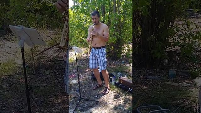 SWAY - soprano sax cover смотреть онлайн