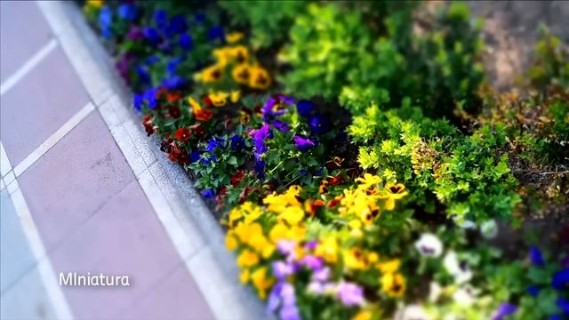 Inbetween Experience Sony Alpha 37