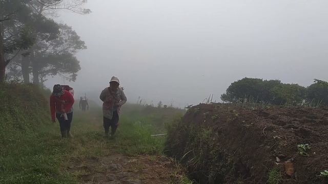 Nepal van java terbaru 2022 | Puncak phuntuk nepal van java смотреть онлайн