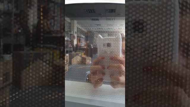 Микроволновая печь Airhot WP900 от ПРАЙД ГРУПП смотреть онлайн