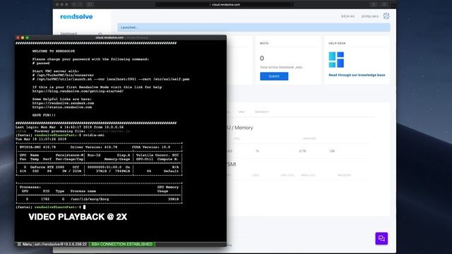 FastAI & Rendsolve GPU Cloud. смотреть онлайн