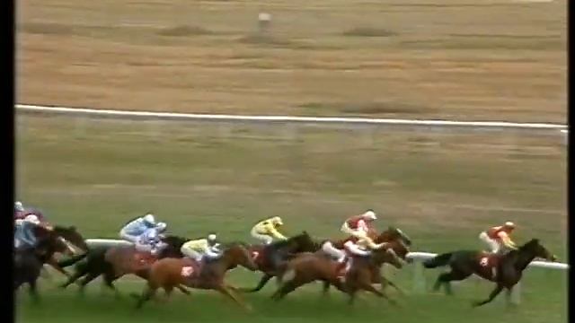 1991 People-Sporting Life Championship 3-y-o Handicap смотреть онлайн