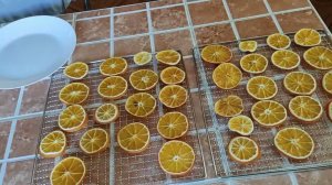 Сушка апельсинов в дегидраторе.