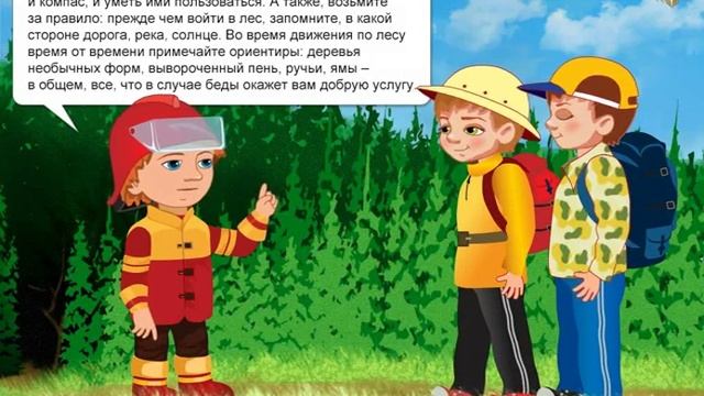 Правила поведения в лесу смотреть онлайн