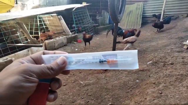 BELAMYL B-COMPLEX,anong oras ba dapat ang pagbibigay? смотреть онлайн