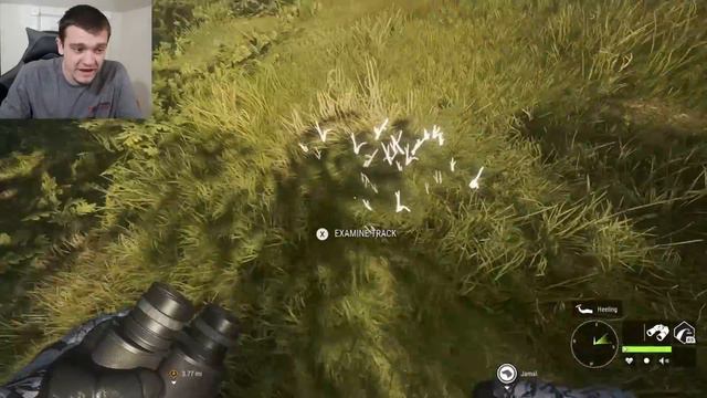 I Built the CHEAPEST Loadout in Hunter Call of the WIld! смотреть онлайн