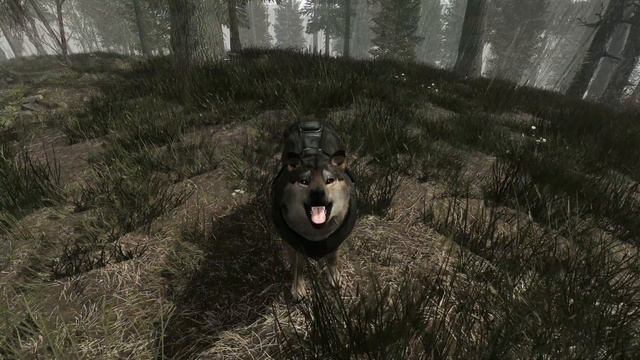This mod is not scary смотреть онлайн