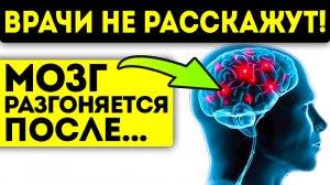Мозг чистый и готов работать 100 лет! Продукты для головного мозга