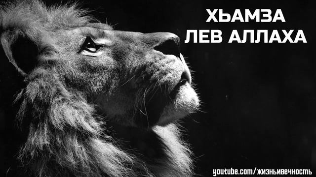 Рамзан - Хьамзат Лев Аллаха! 2016 хьехам смотреть онлайн