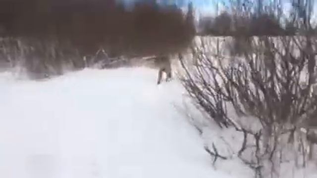 Бурбуль в снегу смотреть онлайн