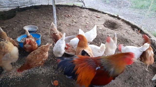 Один в женском коллективе. Счастье ? Или ?