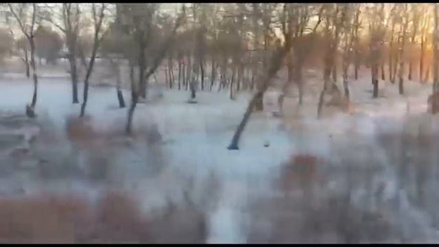 Адлер-Воркута поезд 310 смотреть онлайн
