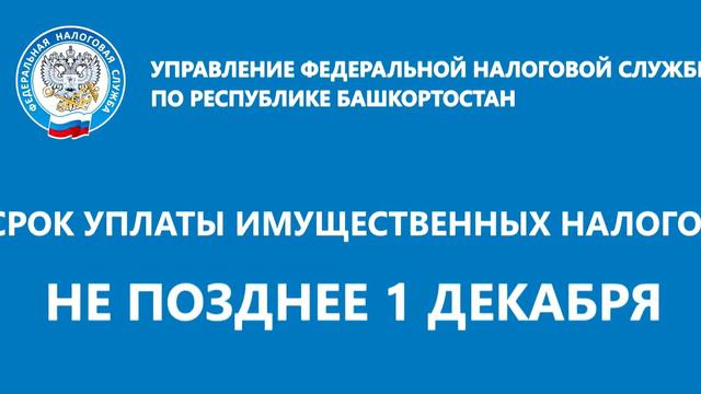 29 09 2020ВидеороликСрок уплаты имущественных налогов не позднее 1 декабря смотреть онлайн