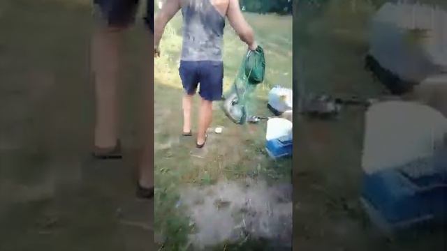 Рыбалка в Пензенской области, пруд "Сухой-2". Приезжайте на рыбалку! смотреть онлайн