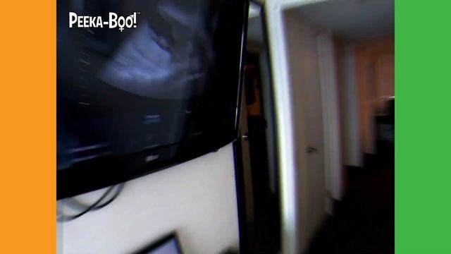 In the Comfort of Your Own Home смотреть онлайн