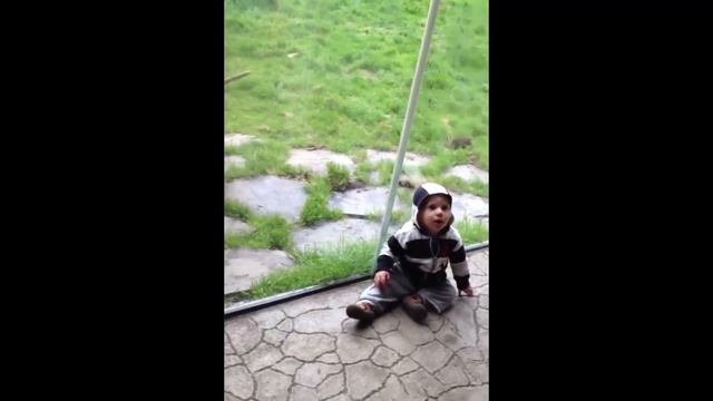 Kids At The Zoo: Compilation смотреть онлайн
