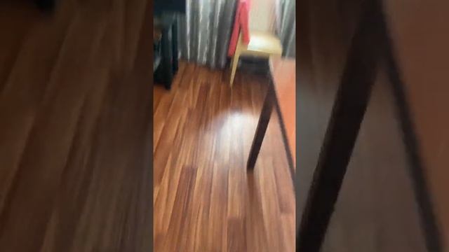 Влог окулист