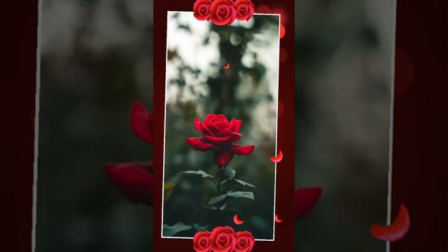 khabhi to pass mara yaou kbhi to njra musa millou love story status смотреть онлайн