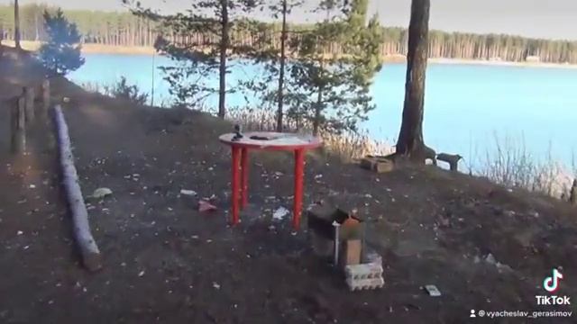 Помело разорвало на части, но похавать что-то осталось)))