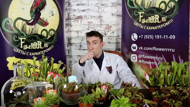 Огромный интерес к растениям хищникам смотреть онлайн